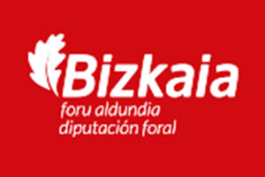 Errotu ha realizado proyectos de arquitectura accesible para la Diputación de Bizkaia