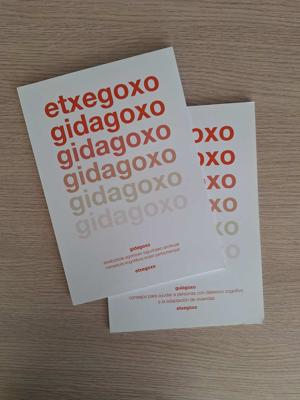 Elaboramos la guía GIDAGOXO con consejos para ayudar a personas con deterioro cognitivo a la adaptación de viviendas